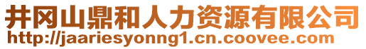 井岡山鼎和人力資源有限公司