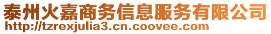 泰州火嘉商務(wù)信息服務(wù)有限公司