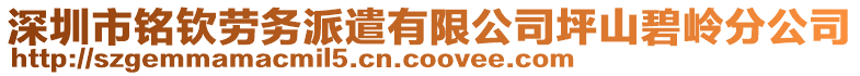 深圳市銘欽勞務(wù)派遣有限公司坪山碧嶺分公司