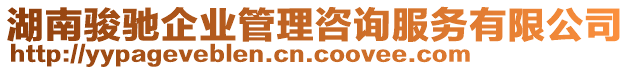 湖南駿馳企業(yè)管理咨詢服務(wù)有限公司