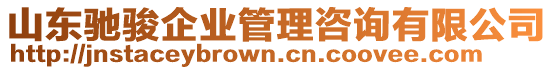 山东驰骏企业管理咨询有限公司