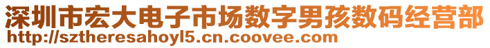 深圳市宏大電子市場數(shù)字男孩數(shù)碼經(jīng)營部