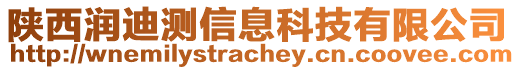 陕西润迪测信息科技有限公司