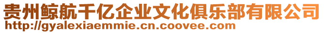 貴州鯨航千億企業(yè)文化俱樂部有限公司