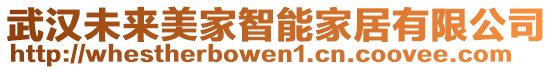 武漢未來美家智能家居有限公司