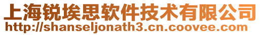 上海锐埃思软件技术有限公司