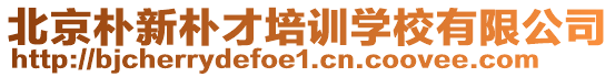 北京樸新樸才培訓(xùn)學(xué)校有限公司