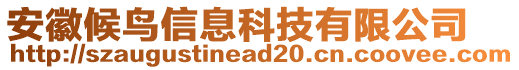 安徽候鳥信息科技有限公司