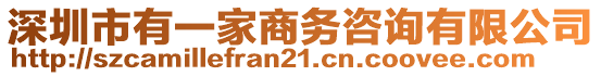 深圳市有一家商務(wù)咨詢有限公司