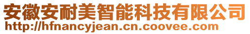 安徽安耐美智能科技有限公司