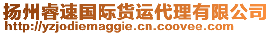 揚(yáng)州睿速國(guó)際貨運(yùn)代理有限公司