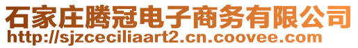 石家庄腾冠电子商务有限公司