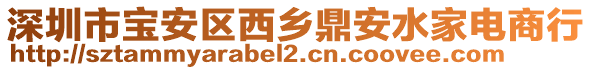 深圳市宝安区西乡鼎安水家电商行