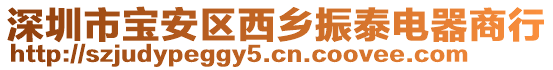 深圳市寶安區(qū)西鄉(xiāng)振泰電器商行