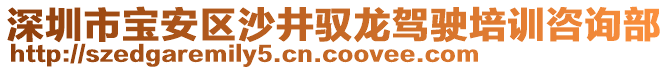 深圳市宝安区沙井驭龙驾驶培训咨询部