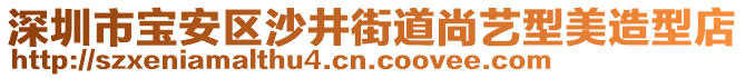 深圳市寶安區(qū)沙井街道尚藝型美造型店