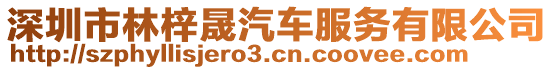 深圳市林梓晟汽車服務(wù)有限公司