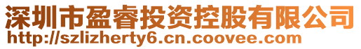 深圳市盈睿投資控股有限公司