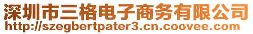 深圳市三格電子商務(wù)有限公司