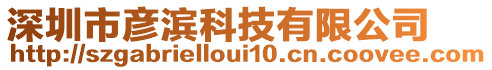 深圳市彥濱科技有限公司