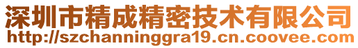 深圳市精成精密技術(shù)有限公司