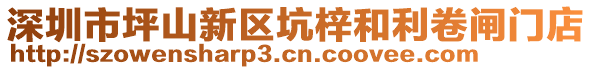 深圳市坪山新区坑梓和利卷闸门店