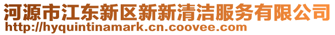 河源市江东新区新新清洁服务有限公司