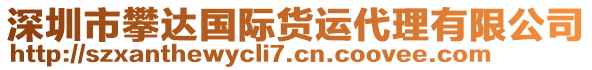 深圳市攀达国际货运代理有限公司