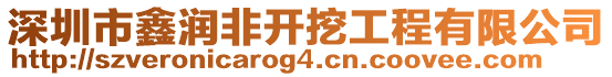 深圳市鑫潤非開挖工程有限公司