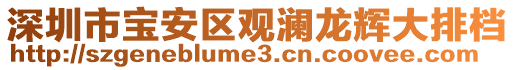 深圳市宝安区观澜龙辉大排档