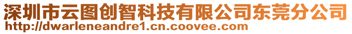 深圳市云圖創(chuàng)智科技有限公司東莞分公司