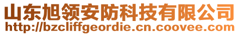 山東旭領(lǐng)安防科技有限公司