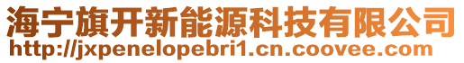 海寧旗開新能源科技有限公司