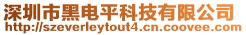 深圳市黑電平科技有限公司