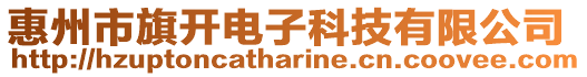 惠州市旗開電子科技有限公司