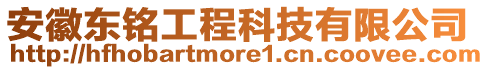 安徽東銘工程科技有限公司