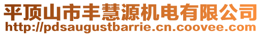 平頂山市豐慧源機(jī)電有限公司