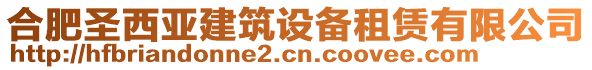 合肥圣西亞建筑設(shè)備租賃有限公司