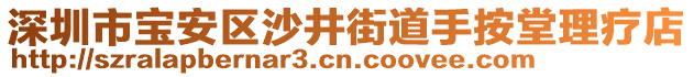 深圳市寶安區(qū)沙井街道手按堂理療店