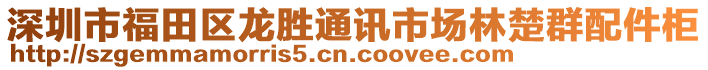 深圳市福田區(qū)龍勝通訊市場林楚群配件柜