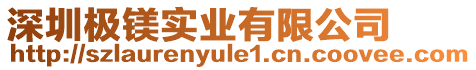 深圳极镁实业有限公司