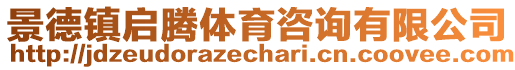 景德鎮(zhèn)啟騰體育咨詢有限公司