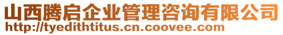 山西騰啟企業(yè)管理咨詢有限公司