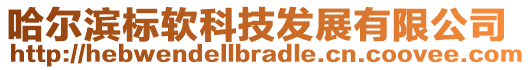 哈爾濱標軟科技發(fā)展有限公司