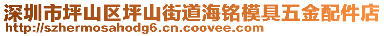 深圳市坪山區(qū)坪山街道海銘模具五金配件店