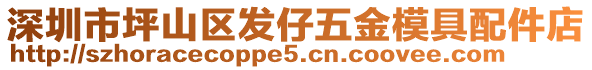 深圳市坪山區(qū)發(fā)仔五金模具配件店