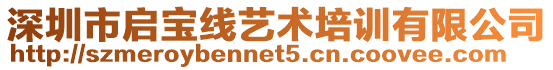 深圳市啟寶線藝術培訓有限公司