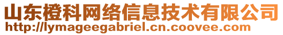 山東橙科網(wǎng)絡(luò)信息技術(shù)有限公司