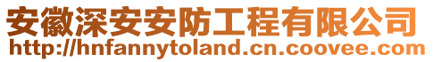 安徽深安安防工程有限公司