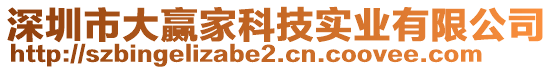 深圳市大贏家科技實(shí)業(yè)有限公司